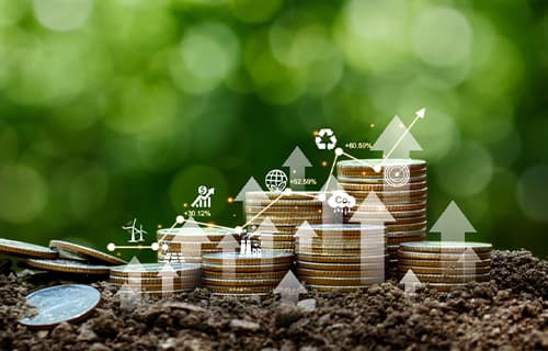 FD and Bond Investment